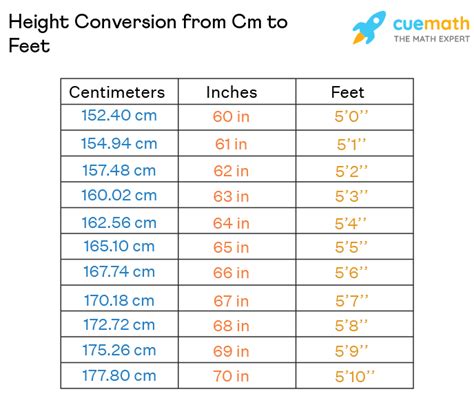 175 cm feet inches